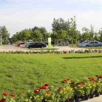 润美畅益生菌长治益生菌OEM发酵剂生产