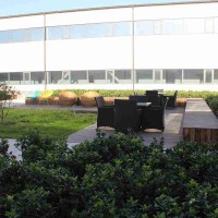 润美畅莱芜乳酸/菌OEM乳酸/菌